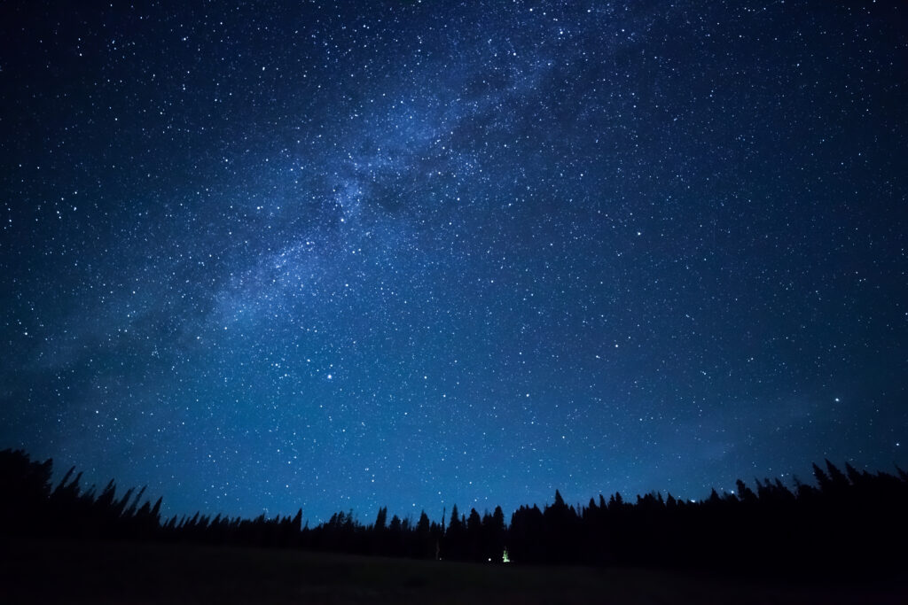 Regarder les étoiles : Ciel étoilé de nuit