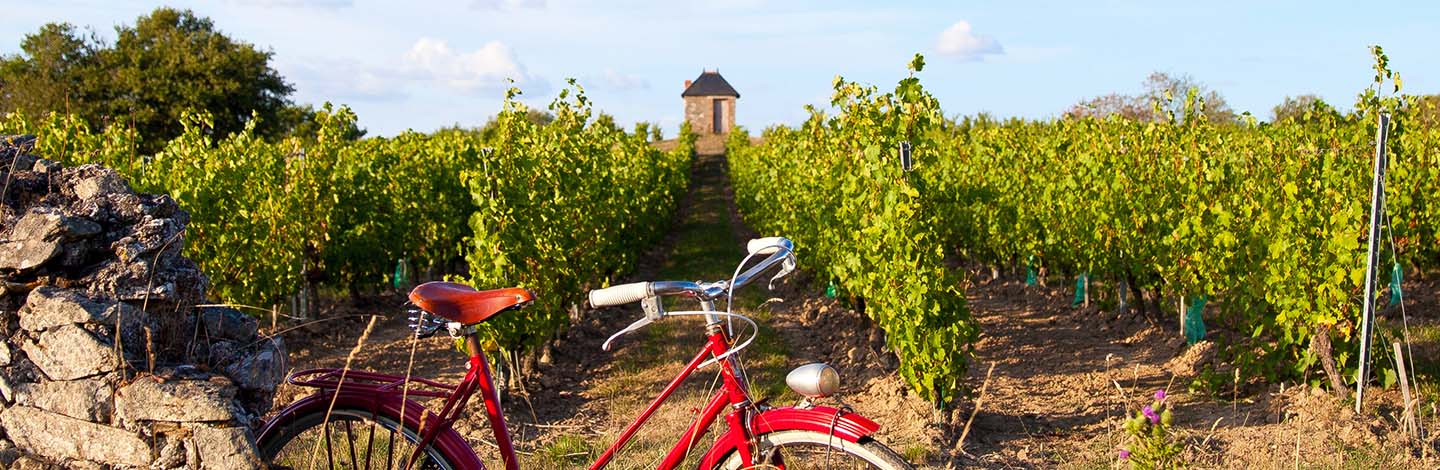 Voyage aventure : Vélo dans le vignes de la Loire