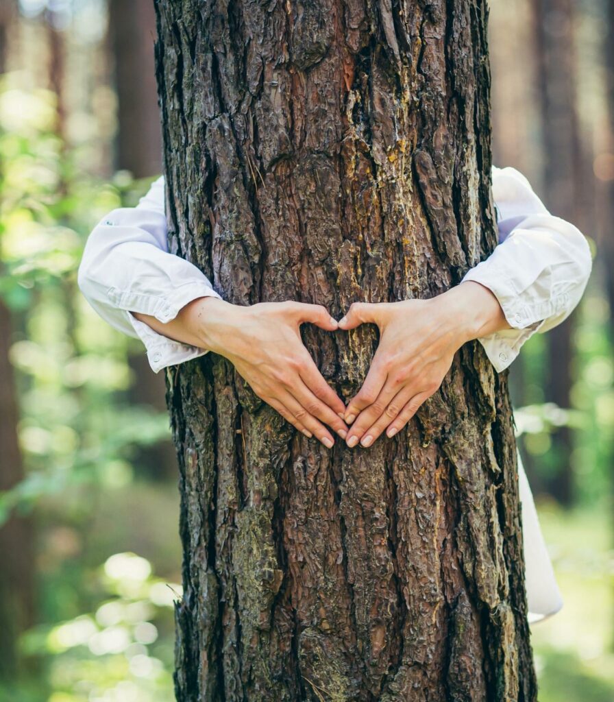 tourisme alternatif : femme faisant un coeur avec ses mains sur un arbre