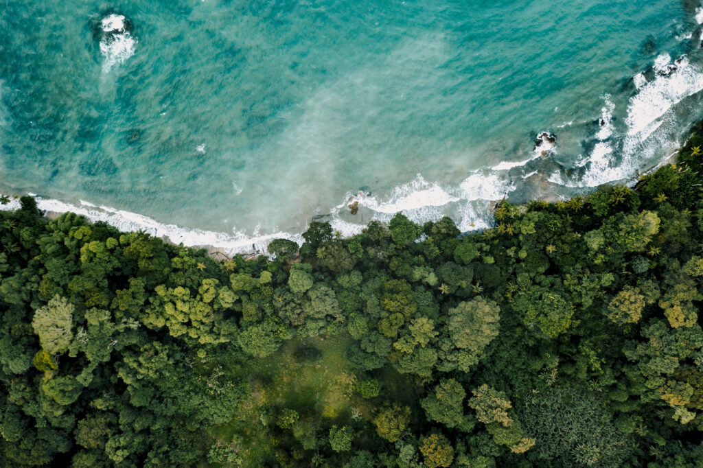 Paysage idyllique pour des vacances familiales, bord de mer et forêt verdoyante