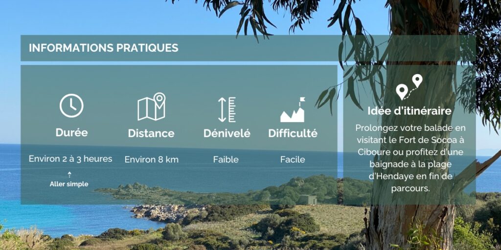 Informations pratiques pour la randonnée Pays Basque Le Sentier des Douaniers de Ciboure à Hendaye - Hortense