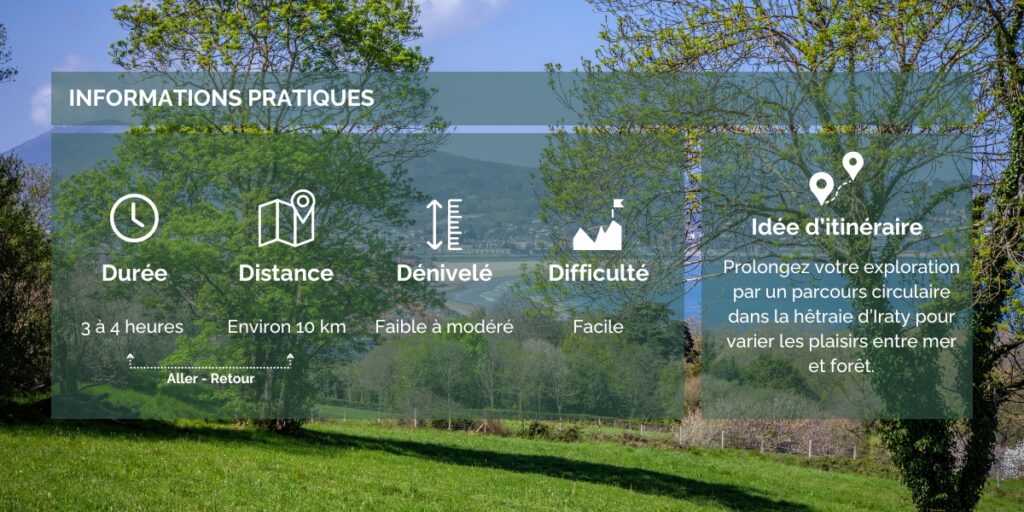 Informations pratiques pour la randonnée Pays Basque Sentier du Littoral de Hendaye - Hortense