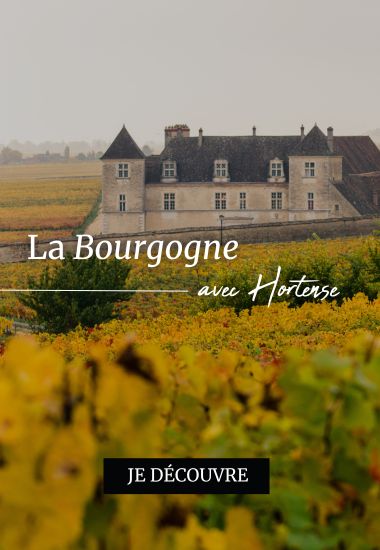 Bourgogne – Banner