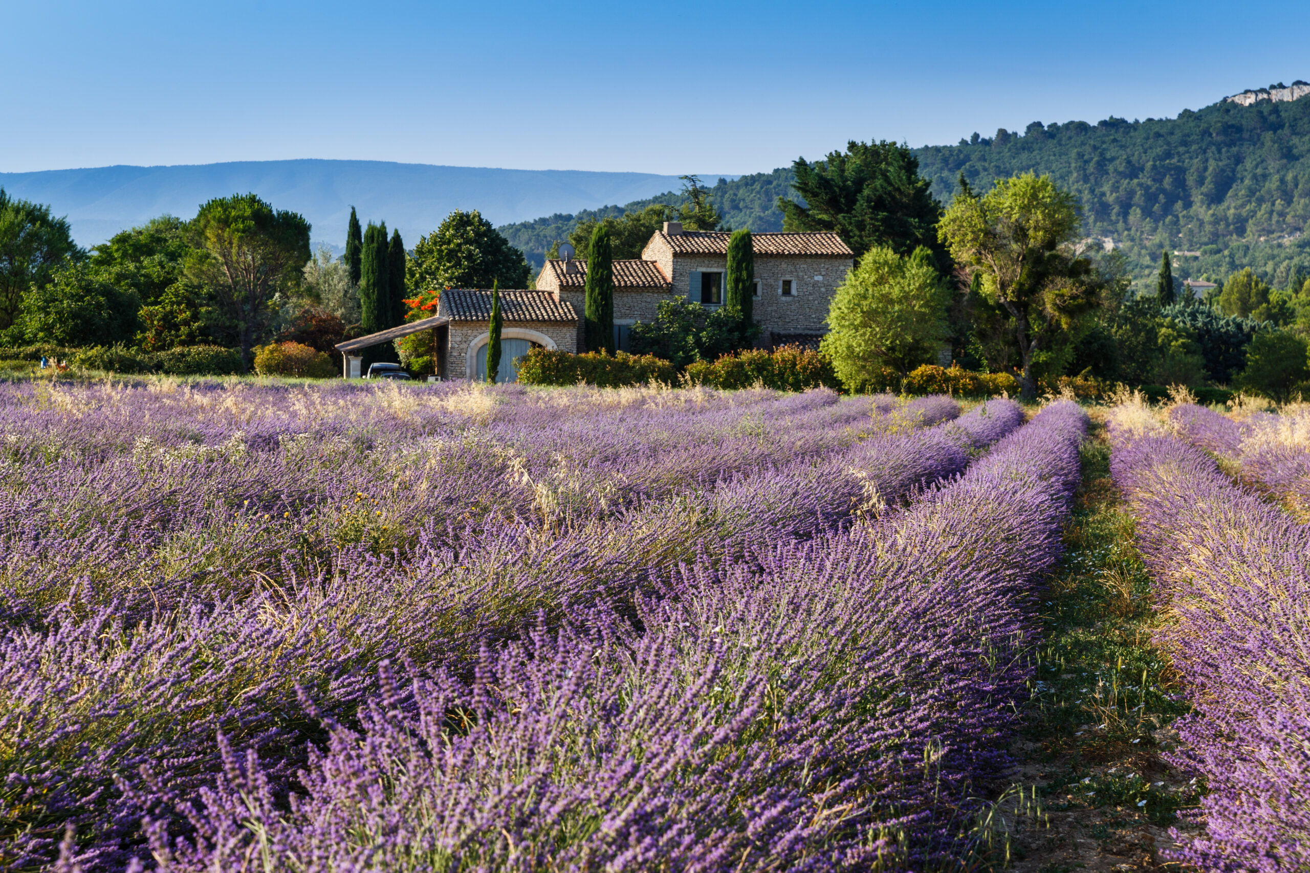 Provence In September Destination vacances septembre : découvrez la France autrement cet été