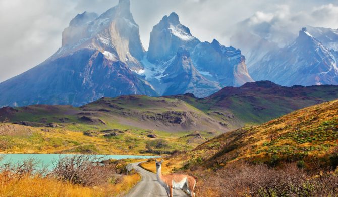 Majestic peaks of Los Kuernos over Lake Pehoe. On a dirt road is worth guanaco - Lama. The national park Torres del Paine, Patagonia, Chile