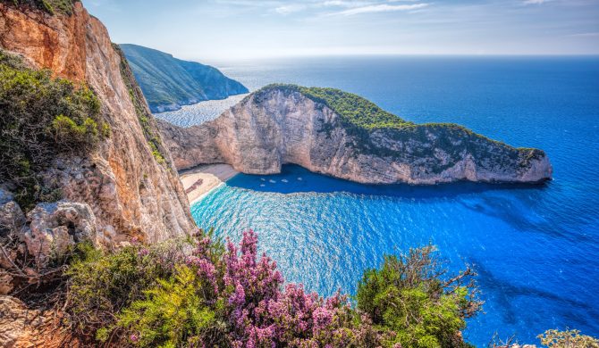 Navagio beach with shipwreck and flowers against sunset on Zakynthos island in Greece