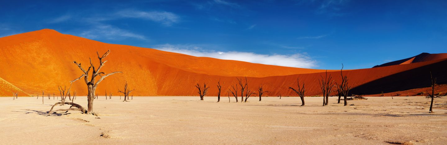 Dead tree in Dead Vlei, Sossusvlei, Namib Desert, Namibia