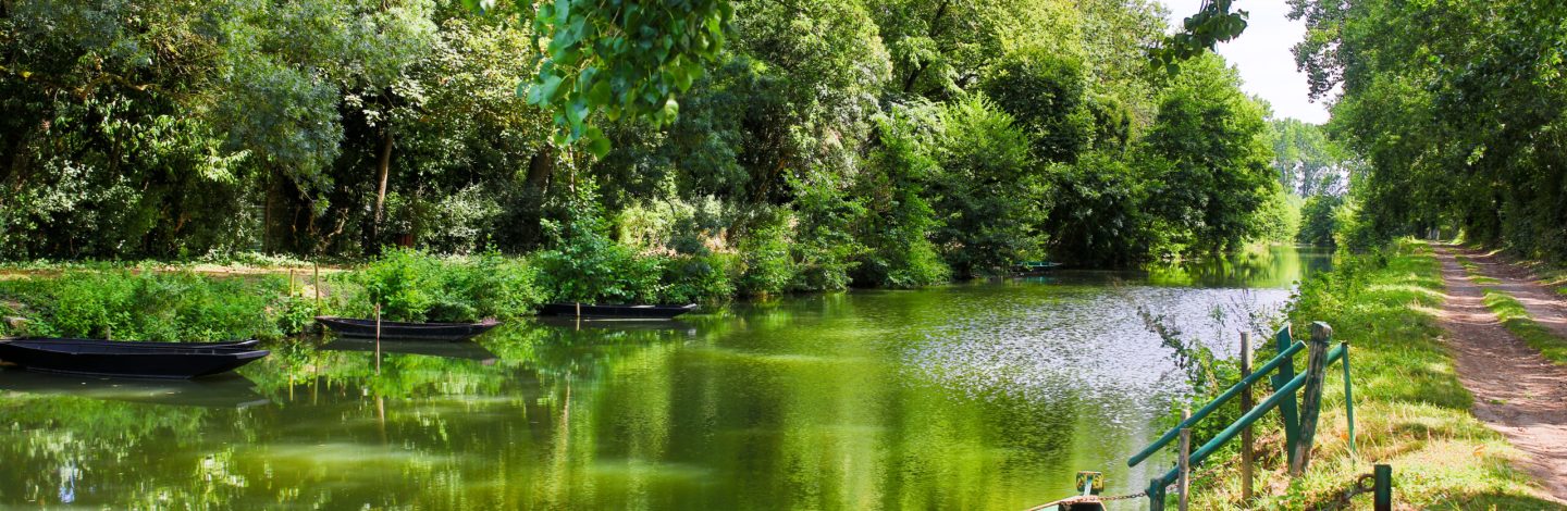 marais poitevin