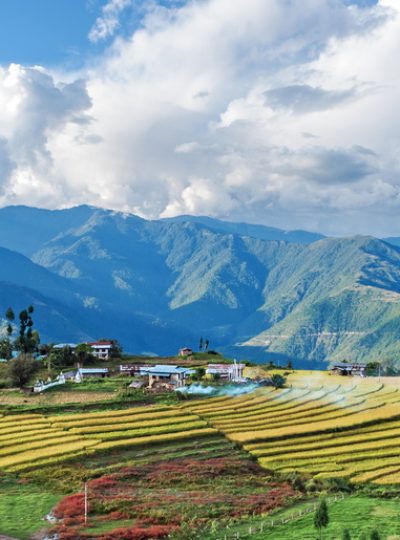 Farm in Bhutan eastern mountains near Trashigang - Eastern Bhutan
