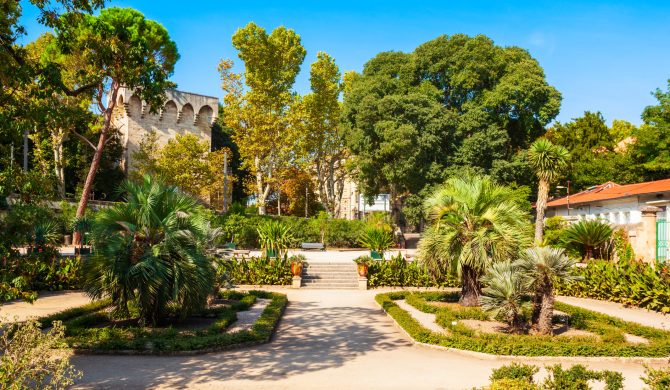 Jardins des plantes de Montpellier - Hortense