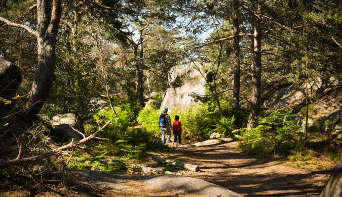 fontainebleau forest