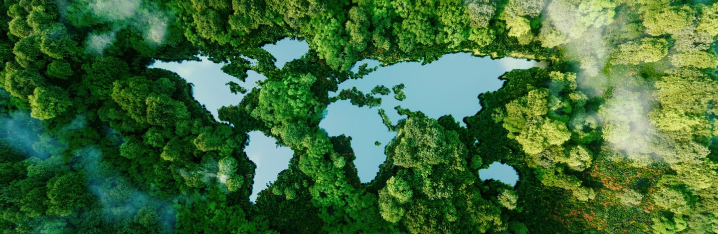 A lake in the shape of the world's continents in the middle of untouched nature. A metaphor for ecological travel, conservation, climate change, global warming and the fragility of nature.3d rendering