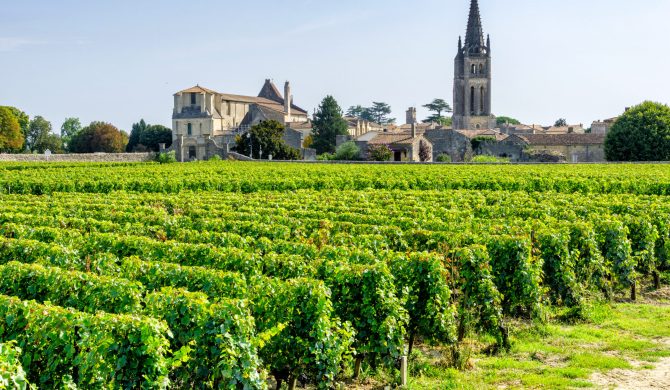 Vineyards of Saint Emilion, Bordeaux wineyards in a sunny day, France