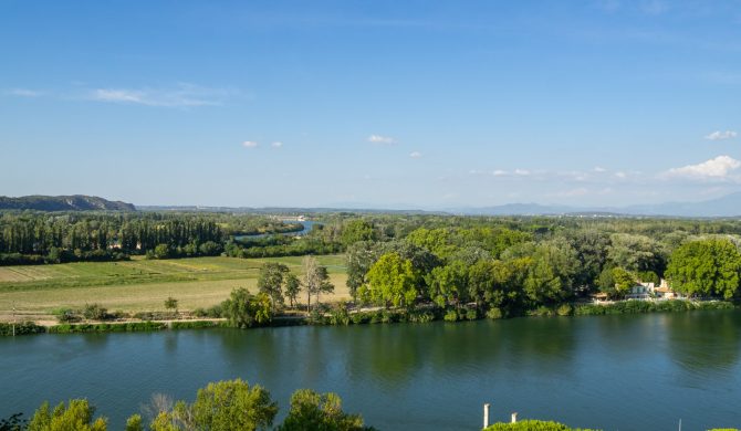 Découvrez l’île de la Barthelasse lors de votre week end avignon avec Hortense