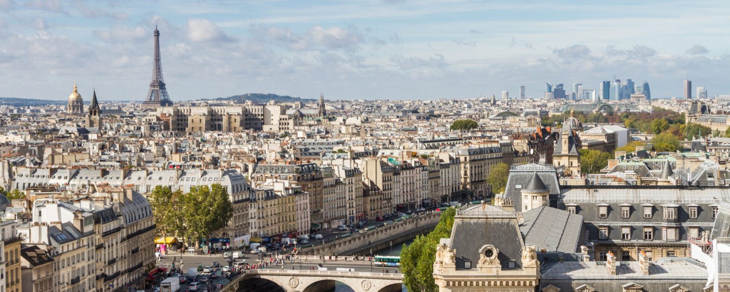 Paris seen from the top of Notre Dame