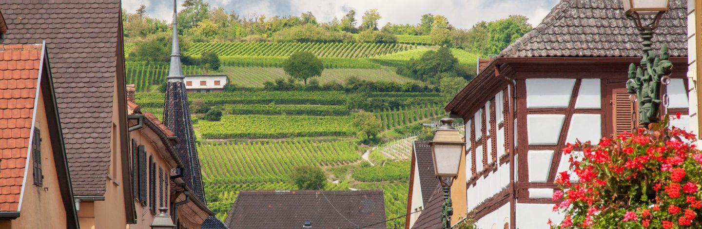 Maisons à colombages et vignobles, Rouffach, Alsace