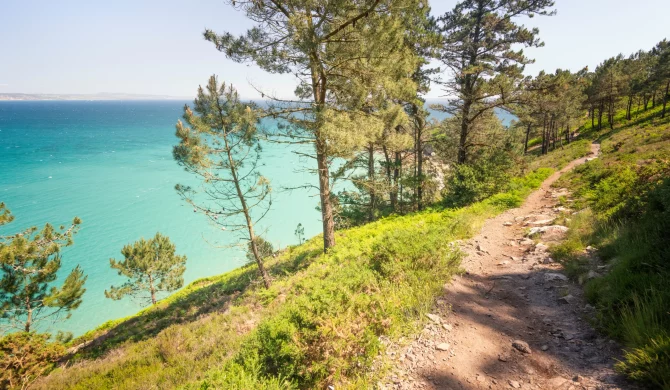 Randonnée sur la Presqu'île de Crozon avec vue sur les falaises côtières et la mer.