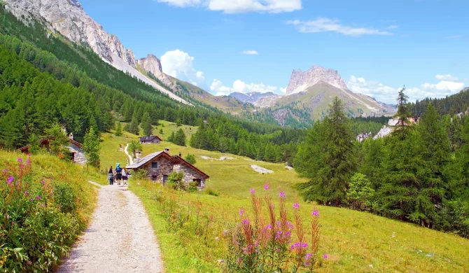 Cette image capture une vue magnifique des sommets enneigés du Mont Blanc, le point culminant de l’Europe de l’Ouest, entouré de sentiers de randonnée. Le Tour du Mont Blanc est une aventure incontournable pour les passionnés de trekking, permettant de découvrir la diversité des paysages alpins en traversant la France, la Suisse et l'Italie.