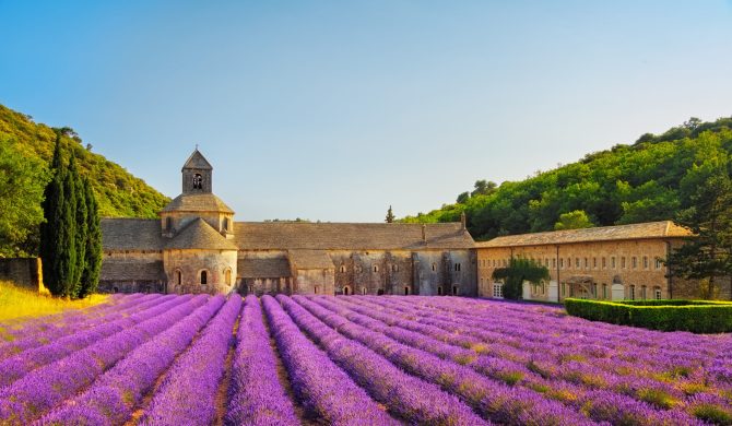 Abbey of Senanque and blooming rows lavender flowers on sunset. Gordes, Luberon, Vaucluse, Provence, France, Europe.