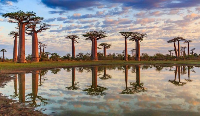 Où partir en Décembre : Madagascar avec Hortense