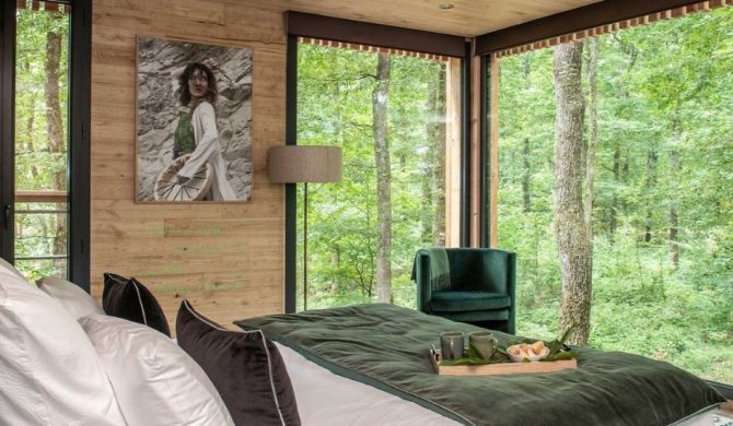 Hotel de luxe eco-responsable dans les arbres