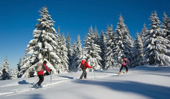 Découvrez le massif de la chartreuse lors de vos itinéraires randonnées raquettes avec Hortense