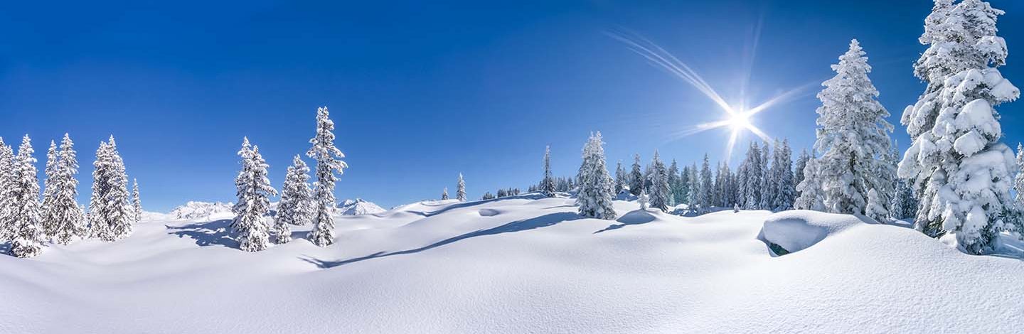 Stations de ski écoresponsables : Un paysage enneigé avec sapins.